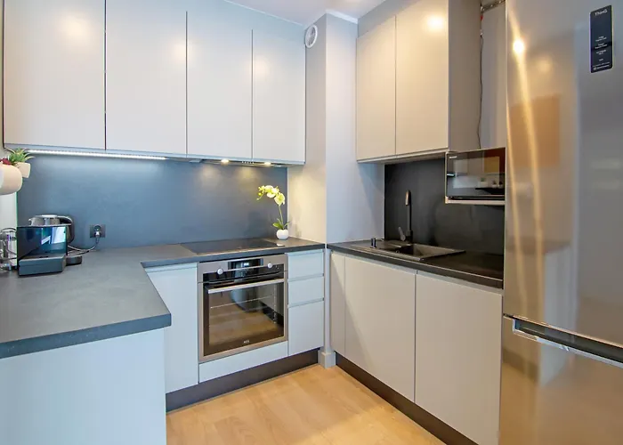 Maya's Flats & 50 - Aura 40